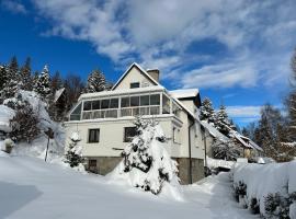 Apartmány u vleku - Podkrovní apartmán, Ferienunterkunft in Karlova Studánka