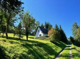 Urige Berghütte mit Kamin und Sauna im Erzgebirge nahe Schwarzwassertal