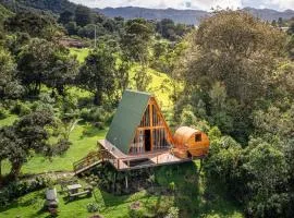 La Gloria Reserva Forestal