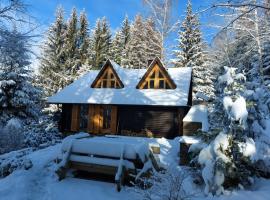 Chalet Bellevue Rogla