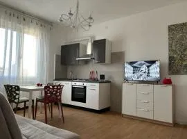 Apartment Forte48