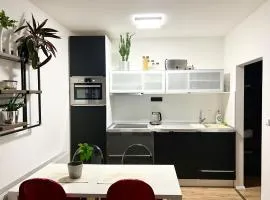 Apartment Brno- BBQ terrace