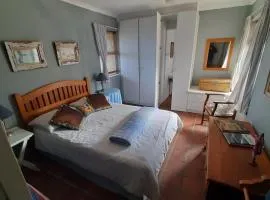 Betty's Bay Holiday home