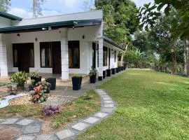 Ceylon Rich Leaves Ella