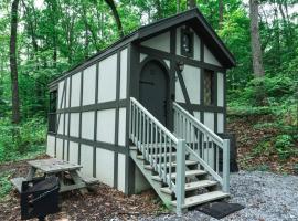 Tiny Home Cottage Near the Smokies #11 Mina، فندق في سيفيرفيل