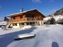 Gîte confortable à Gérardmer avec jardin, ski, randonnées et activités nautiques - FR-1-589-128