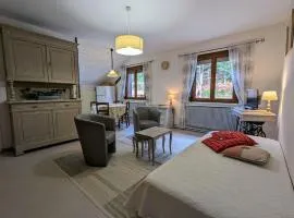 Gîte rénové avec randonnées et ski à proximité, à 6 km de Remiremont - FR-1-589-151