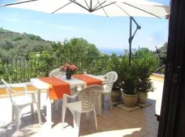 Mary's Country Villa - Villa in charming and amazing Sorrento Coast