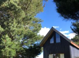 Tiny House, Tiny Black Frutillar, hotel in Frutillar