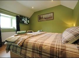 Central House, bed and breakfast en Shillelagh