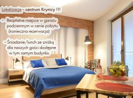 Apartamenty Gaja – apartament z obsługą w mieście Krynica Zdrój