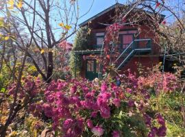 The Winter House, hotel in Manāli