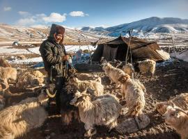 RezangLa Border Homestay, hotel v destinaci Chushul