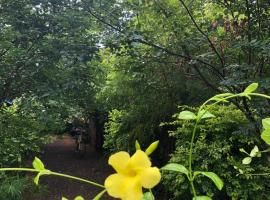 Forest Villa Nature Resort, albergue en Anuradhapura