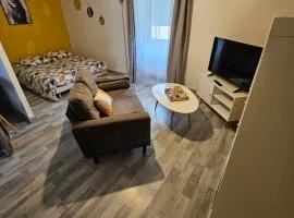 Appartements entiers proche Aéroport - ZAC Chesnes - CNPE du Bugey Check-In 24h7J