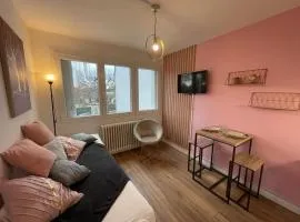 Rose, Studio proche centre ville