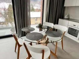 Kryształ Górski apartament z sauną