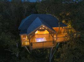 Cabane de Prestige avec Jacuzzi et Sauna privatifs, cheap hotel in Alzonne