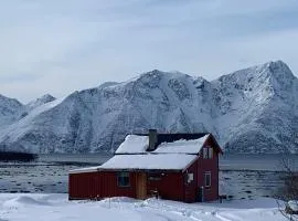 Lyngen Biarnes- Nordreisa
