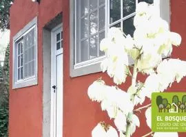 El Bosquecito, Casita rodeada de bosque