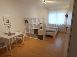 nette 1 Zimmerwohnung in Würzburg