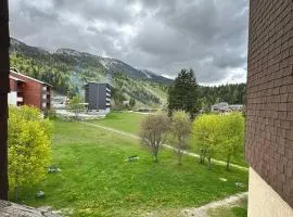 Studio au pied des pistes avec balcon, parking et proche randonnées - 38250 Corrençon-en-Vercors - FR-1-515-202
