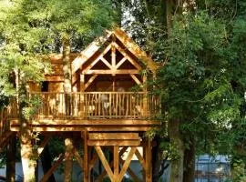 Cabane perchée luxe avec jacuzzi Domaine du Marais Maisse