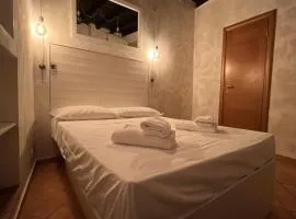 Magenta Collection Panico 32