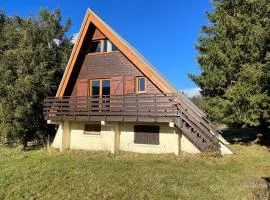 Chalet atypique plein de charme avec garage et balcon, idéal pour familles - FR-1-761-33