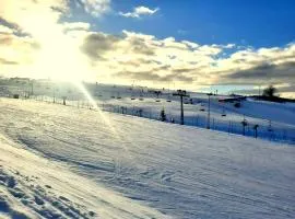 Kosciuszko Apartment