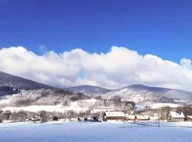 Apartamenty Zew Natury w Starej Morawie 25z