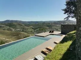 Quinta de Travassinhos- Douro Valley & Spa、サンタ・マルタ・デ・ペナギアンのコテージ