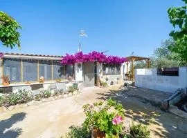 La caseta dels iaios