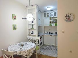 CITY POINT Apartment, apartamento en Podgorica