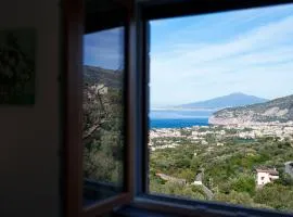 Holidays Homes The dream