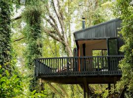 Te Aka Treehouse, guest house in Nelson Creek