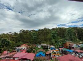 Kochimoto Homestay: Baguio şehrinde bir pansiyon