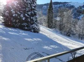 Berghof Appartement 11