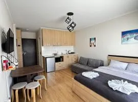 Rezi's Apartment Vista Gudauri