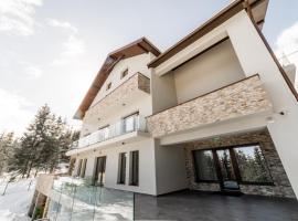 Sali Chalet - Villa in Munții Apuseni, tradicionalna kućica u gradu 'Băişoara'