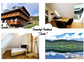 Tannenhof Fischbach - Wohnung 5 "Zander" - Schluchsee, 3 Schlafzimmer, Ferienunterkunft in Schluchsee
