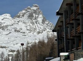 Maison Rododendro Elegant, apartment in Breuil-Cervinia