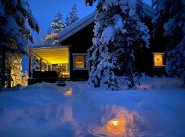 Northern Light Villa Yll&auml;s with a Jacuzzi, hotel com banheiras de hidromassagem em Yll&auml;sj&auml;rvi