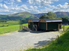 Hafan y Mynydd - Accessible double shepherd hut, pet-friendly hotel in Machynlleth