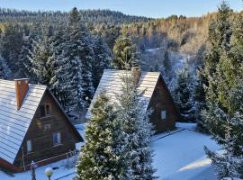 Domki Bieszczady Siedlisko Harenda, Hotel in Czarna