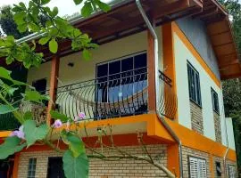 Stúdio Natureza S/A 2