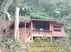 Eco-Logic, Resort for Charity