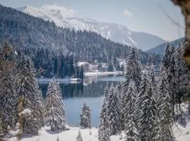 Arabella Alpenhotel am Spitzingsee, a Tribute Portfolio Hotel