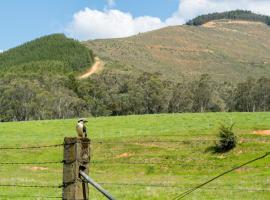 Bright Cabin Park, Hotel in Bright