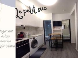 Le Petit Suc du Puy En Velay , Hyper centre ,calme ,Parking proche – apartament w mieście Le Puy-en-Velay